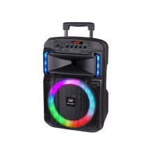 Altavoz amplificado 25W Bluetooth USB micro SD entrada AUX TWS Trevi XF 370 KB