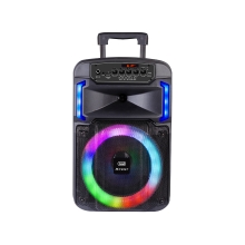 Altavoz amplificado 25W Bluetooth USB micro SD entrada AUX TWS Trevi XF 370 KB