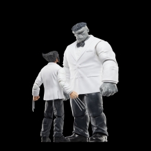 Set figuras hasbro marvel legends series wolverine path & hulk