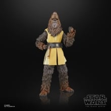 Figura hasbro star wars the black series the acolyte