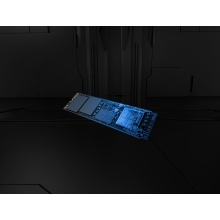 Kingston Technology 2T FURY RENEGADE G5 M.2 2280 NVMe SSD