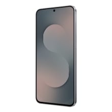 Samsung Galaxy S25 FE Enterprise Edition 17 cm (6.7") SIM doble Android 16.0 5G USB Tipo C 8 GB 128 GB 4900 mAh Negro