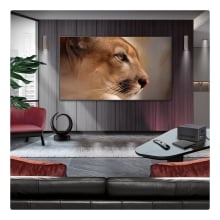 TV LG 65 65M59LA UHD OLED EVO ALFA11 ZERO CONNECT