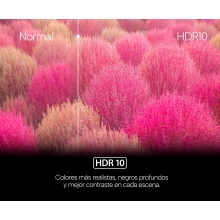 TV GENIUM 55" GTV55QLED QLED WEBOS