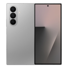 Samsung SM-F966BZSBEUB 8" 12GB 256GB Plata