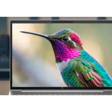 HP ProBook 4 G2i 16 inch Notebook AI PC Wolf Pro Security Edition Intel Core 7 350 Portátil 40,6 cm (16") WUXGA 32 GB LPDDR5x-SDRAM 1 TB SSD Wi-Fi 7 (802.11be) Windows 11 Pro Plata