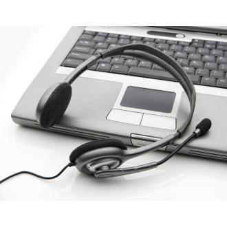 Auriculares Logitech H111 3.5mm 1.8m gris