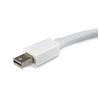 Adaptador Equip Mini DisplayPort macho a DisplayPort hembra