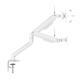 Soporte de mesa TooQ DB4032TNR-W 17" a 32" con brazo blanco