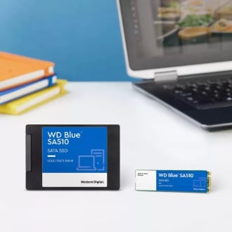 Disco SSD WD Blue SA510 1TB M.2