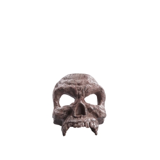 Figura hasbro indian jones adventure series - helena shaw dial del destino