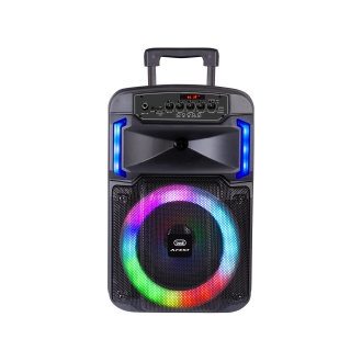 Altavoz amplificado 25W Bluetooth USB micro SD entrada AUX TWS Trevi XF 370 KB