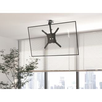 Soporte de techo Equip 650375 para pantalla 23"-55" extensible, inclina y se pliega