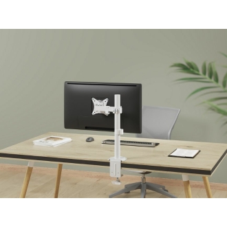 Soporte de mesa Equip 650166 17" a 32" con brazo blanco