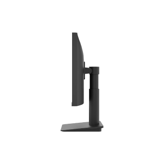 Monitor LG 25MS550-B 24.5" IPS HDMI multimedia pivotante negro