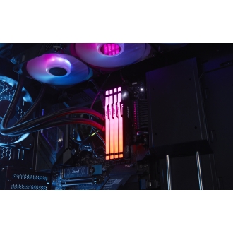 Memoria RAM Kingston 32GB (2x16GB) DDR5 6000MHz Fury Beast RGB EXPO CL30