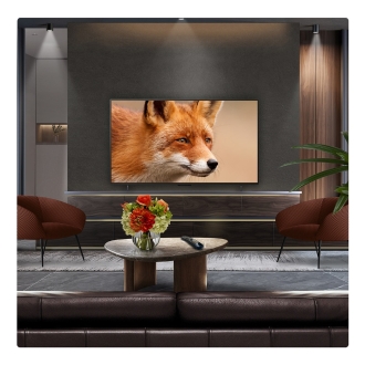 TV LG 55" 55C54LA UHD OLED evo Alfa 9 144Hz