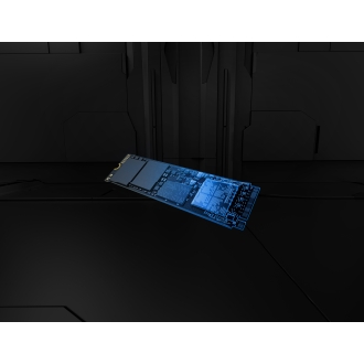 Kingston Technology 2T FURY RENEGADE G5 M.2 2280 NVMe SSD