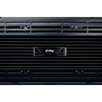 Kingston Technology 2T FURY RENEGADE G5 M.2 2280 NVMe SSD