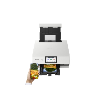 Multifunción Canon Pixma TS8751 wifi dúplex 