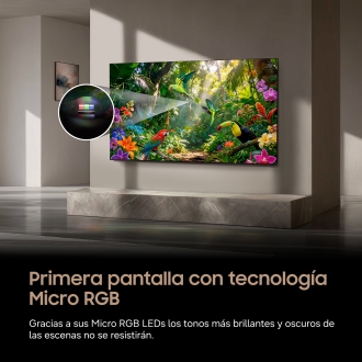 Samsung TV 55" 4K Micro RGB R85H Vision AI Smart TV (2026)