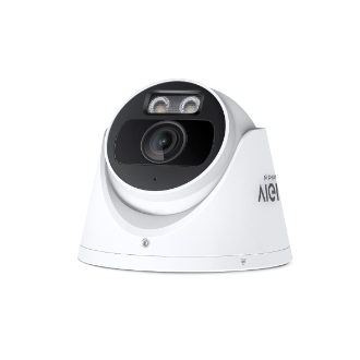 TP-Link InSight S425 Torreta Cámara de seguridad IP Exterior 1920 x 1080 Pixeles Techo/pared