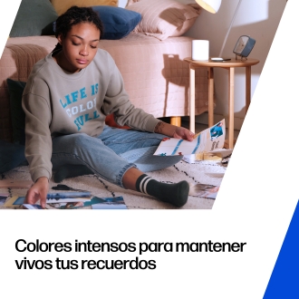 HP Cartucho de Tinta Original 302XL/304XL negro