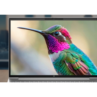 HP ProBook 4 G2i 16 inch Notebook AI PC Wolf Pro Security Edition Intel Core 7 350 Portátil 40,6 cm (16") WUXGA 32 GB LPDDR5x-SDRAM 1 TB SSD Wi-Fi 7 (802.11be) Windows 11 Pro Plata