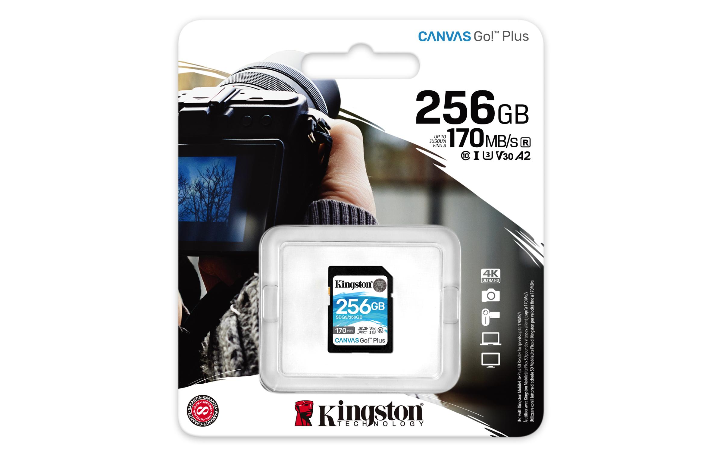 MEMORIA SD KINGSTON 256GB CANVAS GO PLUS EuropeanPC